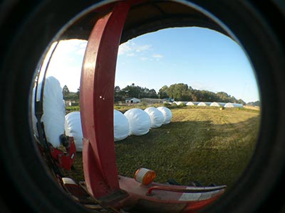 b0156608_6542227.jpg