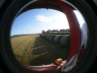 b0156608_6544260.jpg