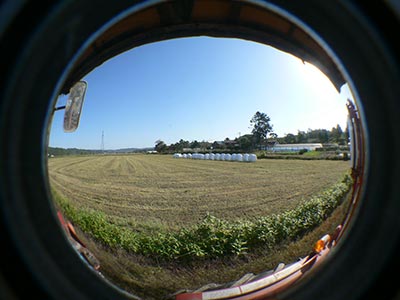 b0156608_654485.jpg