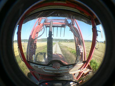 b0156608_6545674.jpg