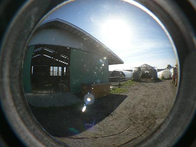 b0156608_655139.jpg