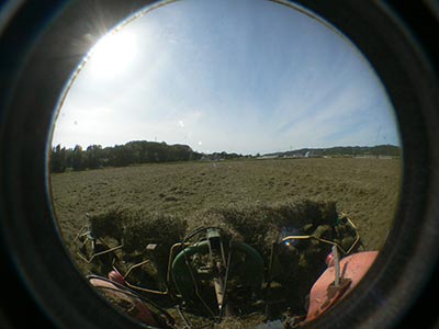 b0156608_6562515.jpg