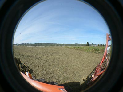 b0156608_6563431.jpg