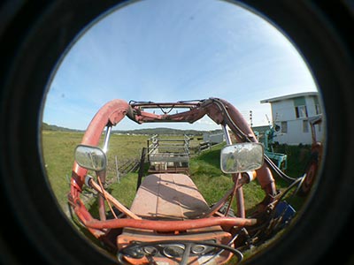 b0156608_657265.jpg