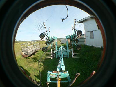 b0156608_6573343.jpg
