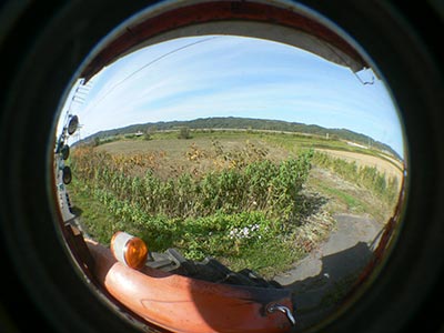 b0156608_6575290.jpg
