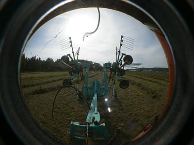 b0156608_6584887.jpg
