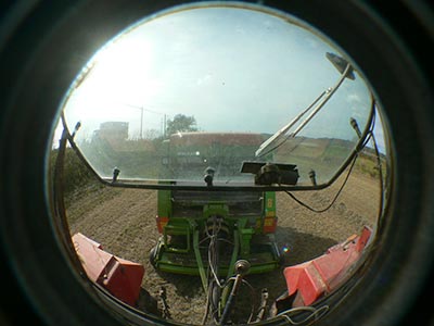 b0156608_6593771.jpg