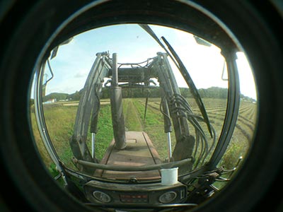 b0156608_659491.jpg