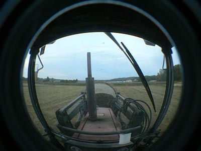 b0156608_704560.jpg
