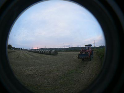 b0156608_711020.jpg