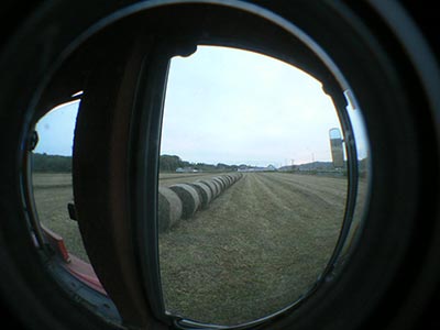 b0156608_71135.jpg