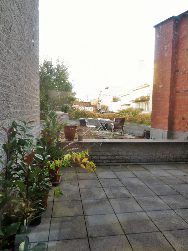 b0064411_07523426.jpg