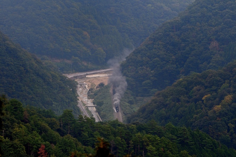 d0336159_20345629.jpg