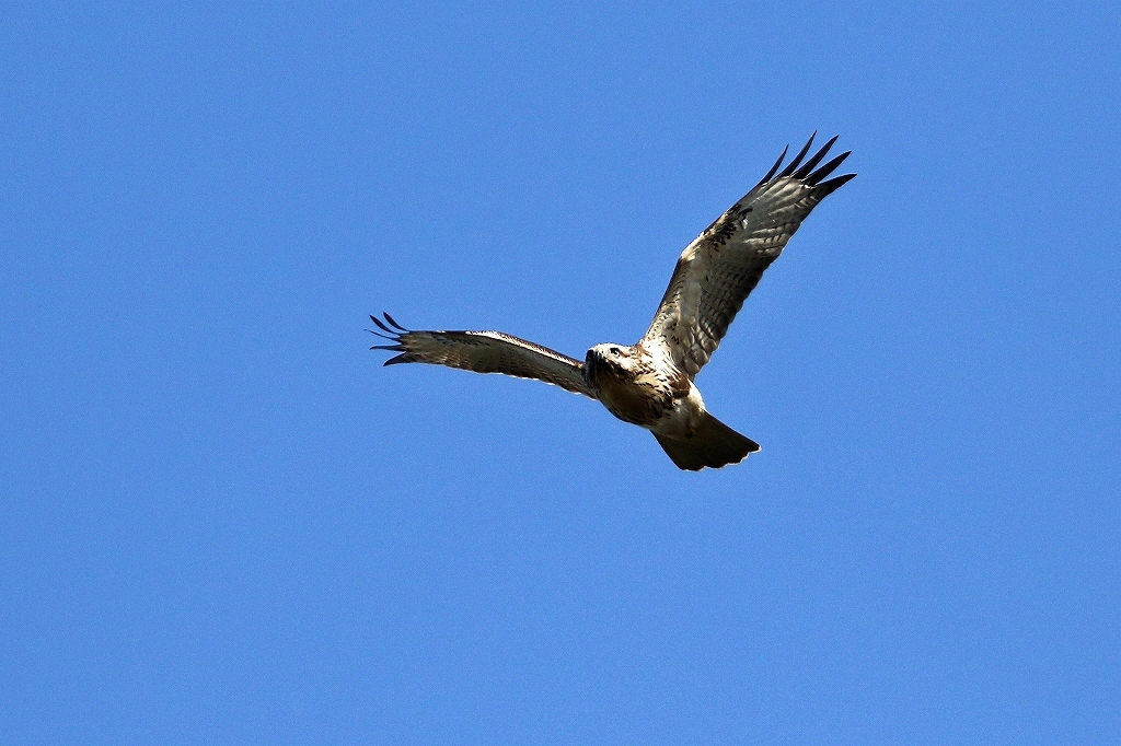 f0221514_20080199.jpg