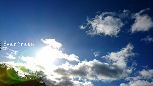 d0362666_22245614.jpg
