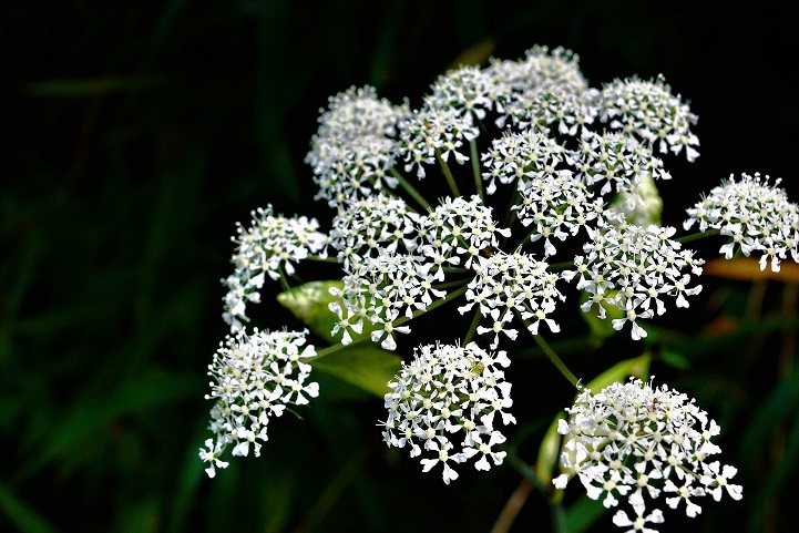 c0248473_16132336.jpg