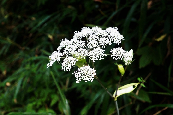 c0248473_16133363.jpg