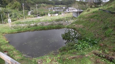 a0059812_19152280.jpg
