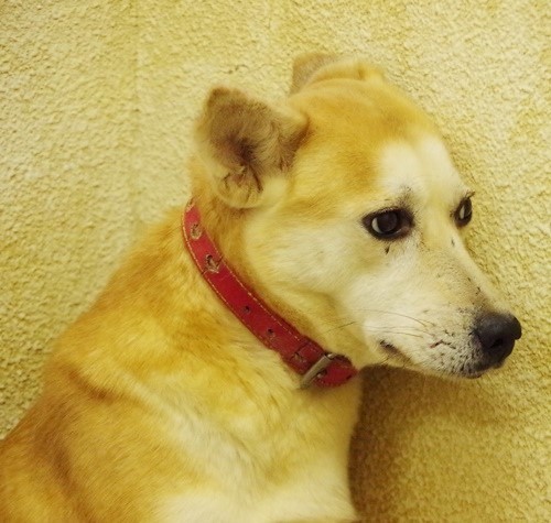 f0078320_01124457.jpg