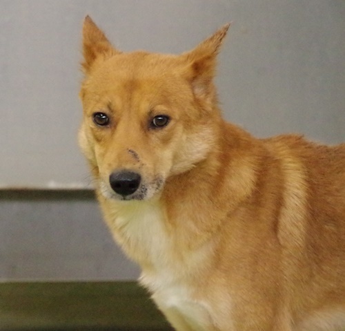 f0078320_01174047.jpg