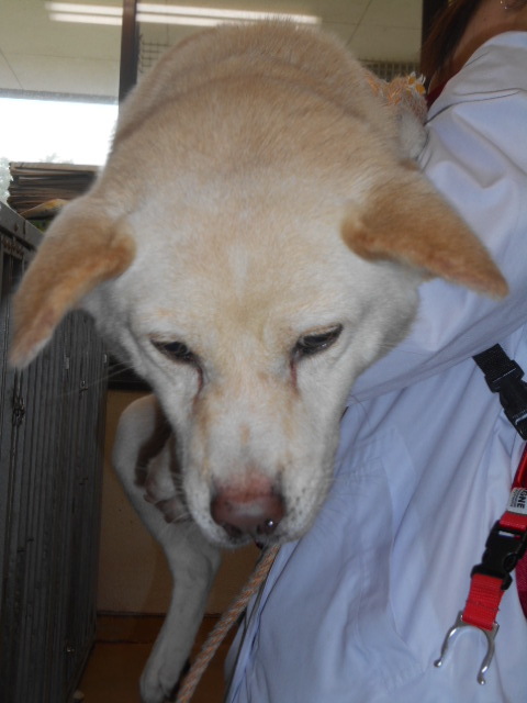 f0078320_01472420.jpg