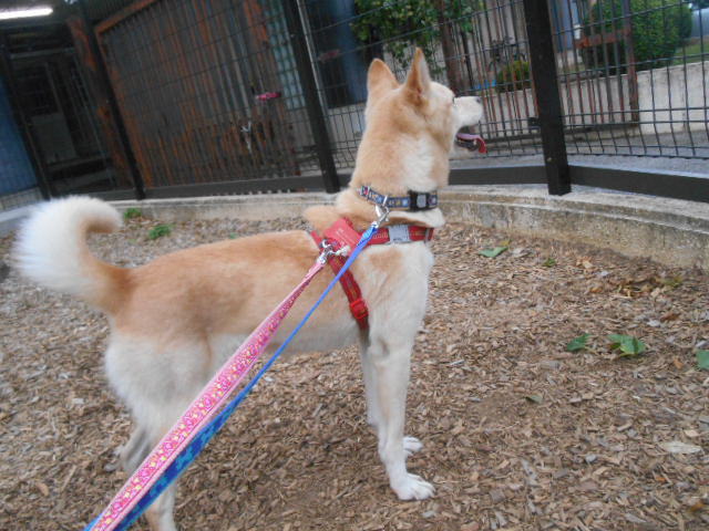 f0078320_01553252.jpg