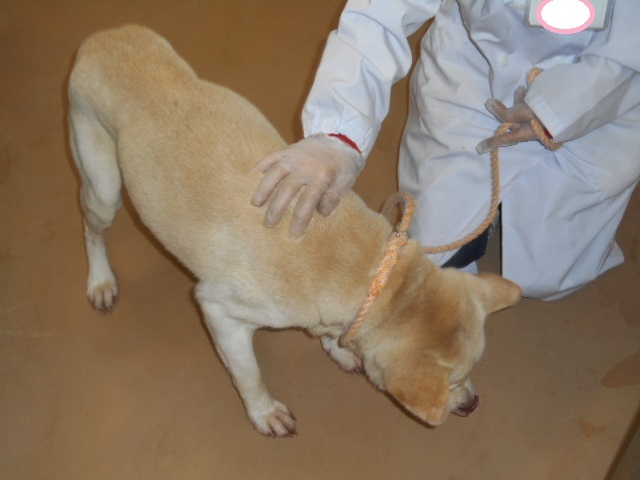 f0078320_22565202.jpg