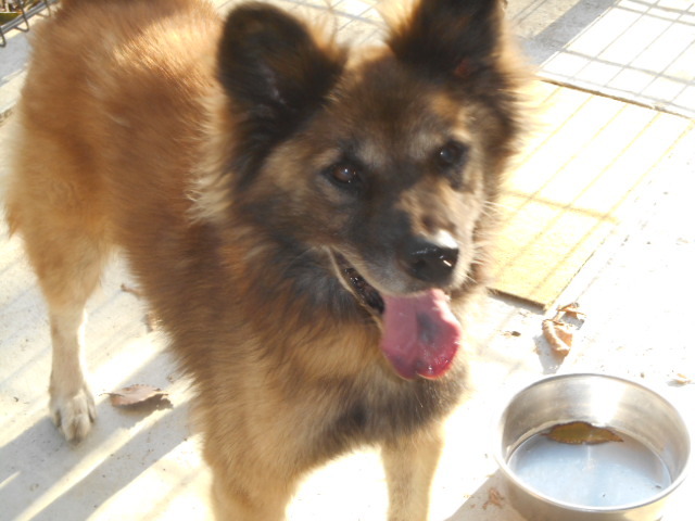 f0078320_00550271.jpg