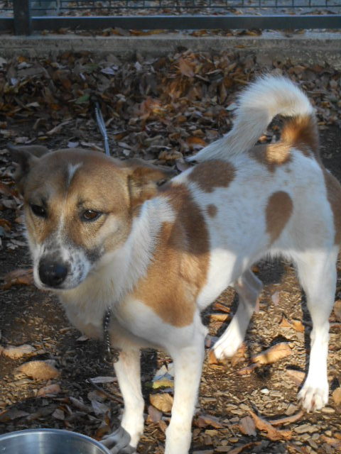 f0078320_01040862.jpg