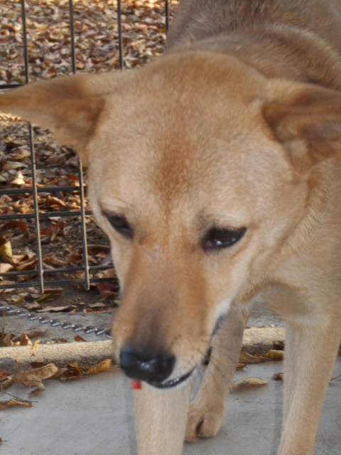 f0078320_12462372.jpg