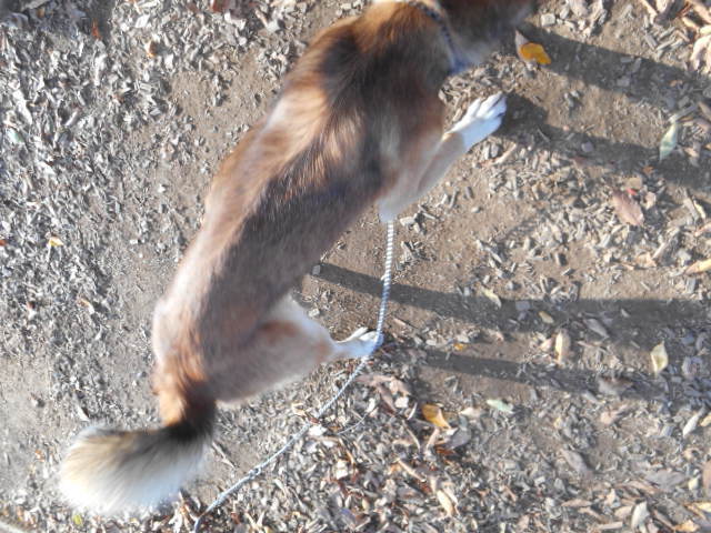 f0078320_13241507.jpg