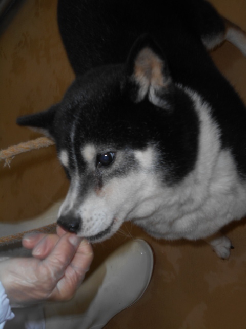 f0078320_23380797.jpg