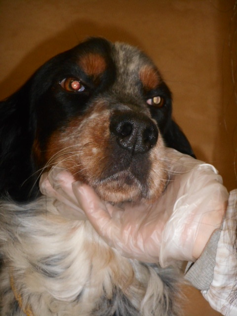 f0078320_22515465.jpg