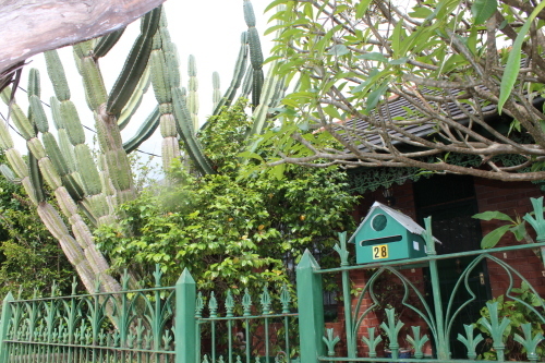 c0350560_17195799.jpg