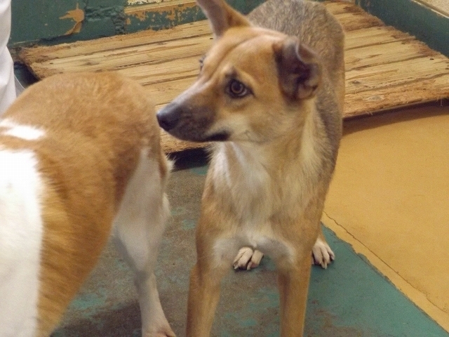 f0078320_12164349.jpg