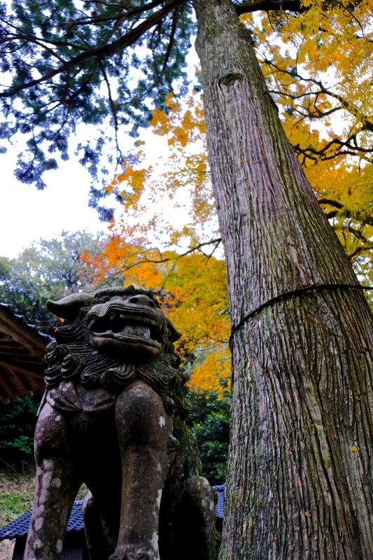 雷神社 - A  B  C