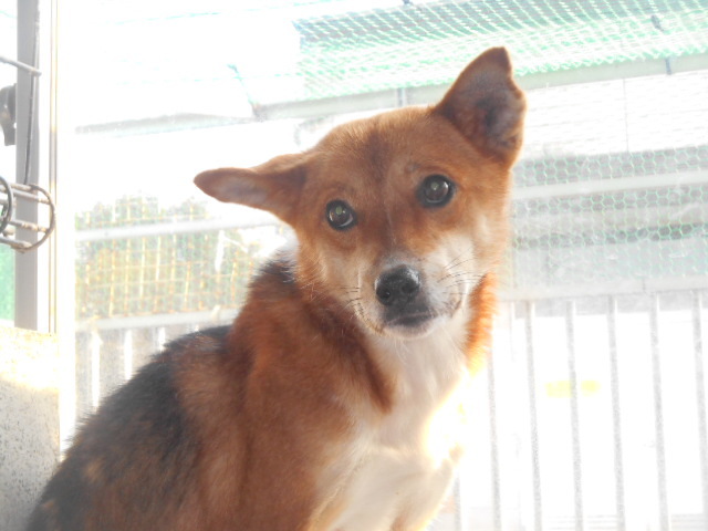 f0078320_22514376.jpg