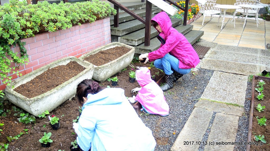 大御堂前庭の植替え