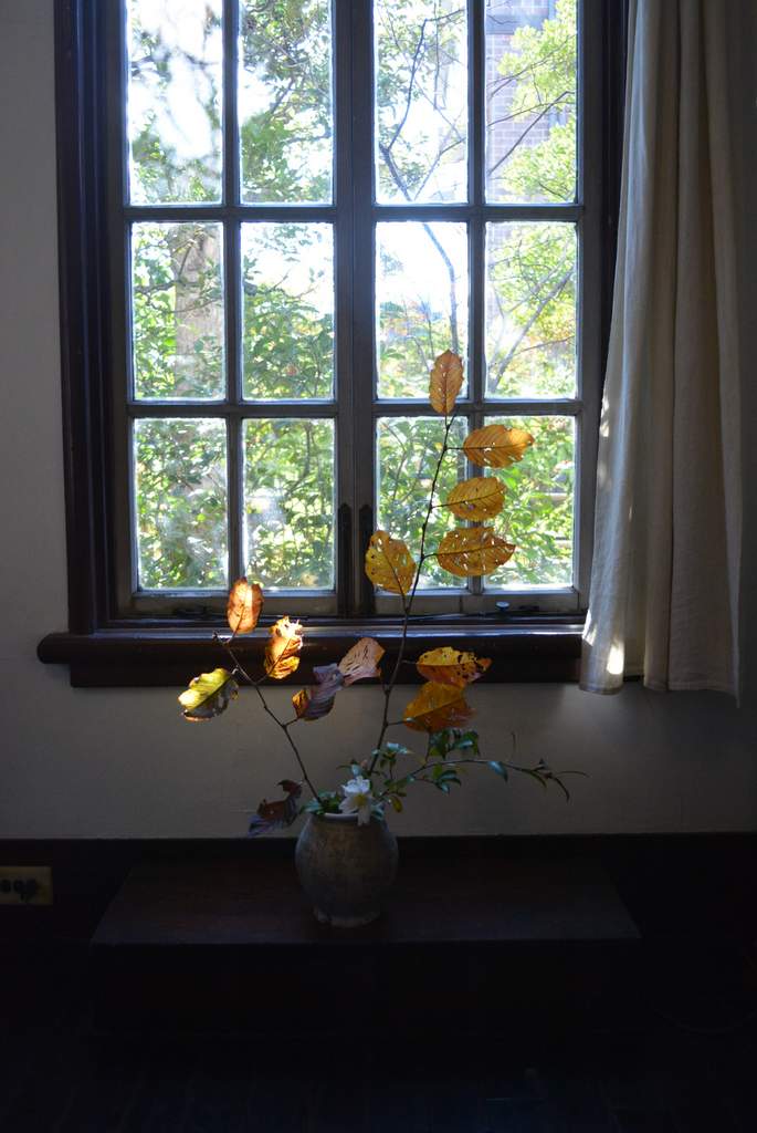 d0087761_0291569.jpg
