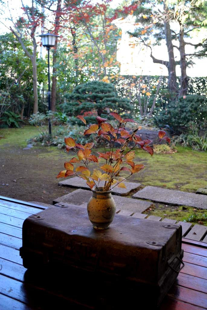d0087761_030689.jpg