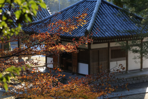 弘川寺　再び - katsuのヘタッピ風景