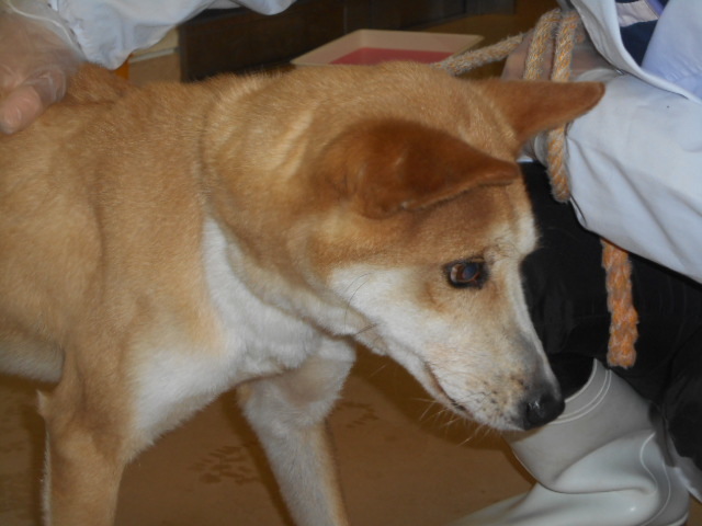 f0078320_23004035.jpg