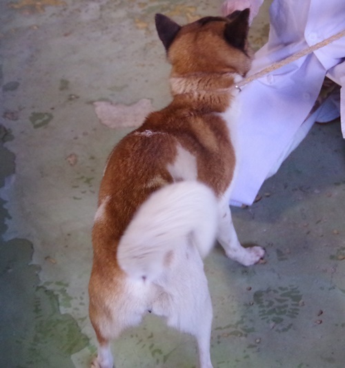 f0078320_00590092.jpg