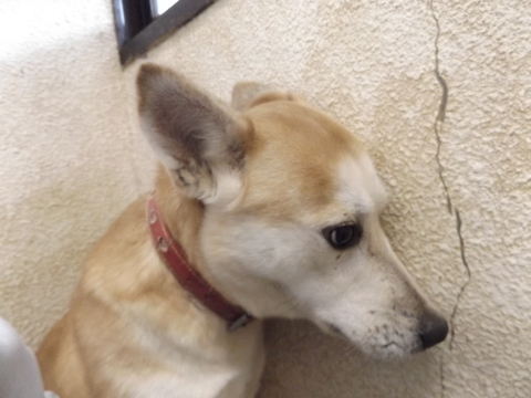 f0078320_02170164.jpg