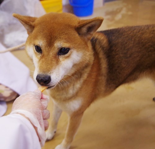 f0078320_02055680.jpg
