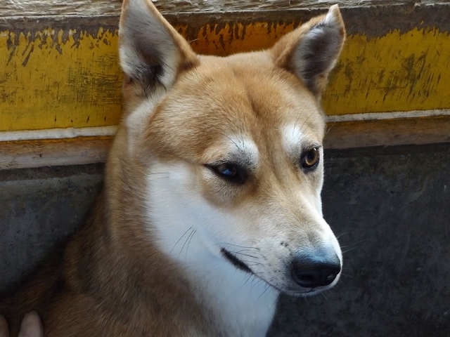 f0078320_01224069.jpg