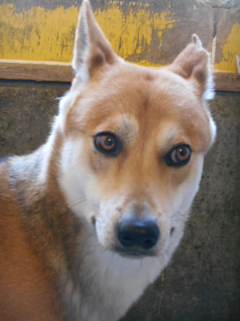 f0078320_23021778.jpg