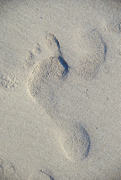 c0067529_17462295.jpg