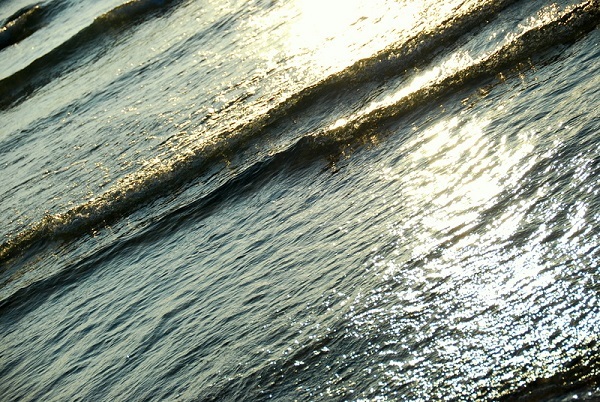 c0067529_17474514.jpg